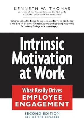 و دانلود نسخه کامل کتاب زبان اصلی Intrinsic Motivation at Work: What Really Drives Employee Engagement | دانلود کتاب خارجی