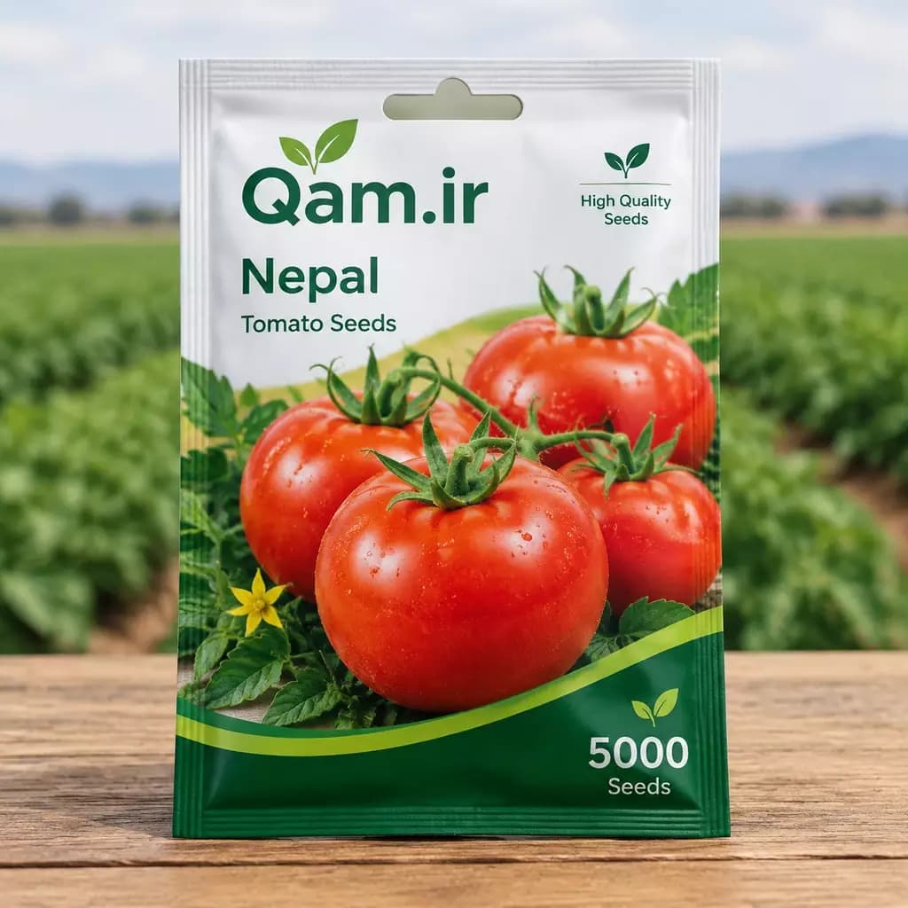 بذر گوجه فرنگی نپال