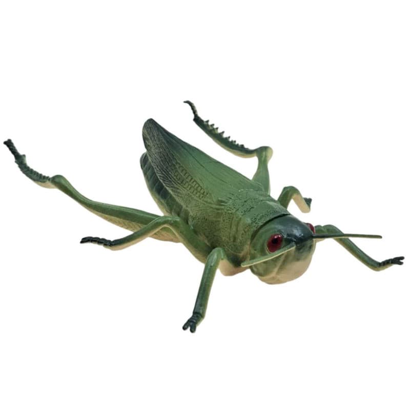 فیگور ناب سل مدل ملخ آفریقایی کد AFRICAN LOCUST NAAB006 طول 23 سانتی‌متر — تصویر ۲