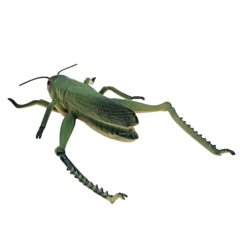 فیگور ناب سل مدل ملخ آفریقایی کد AFRICAN LOCUST NAAB006 طول 23 سانتی‌متر — تصویر ۳