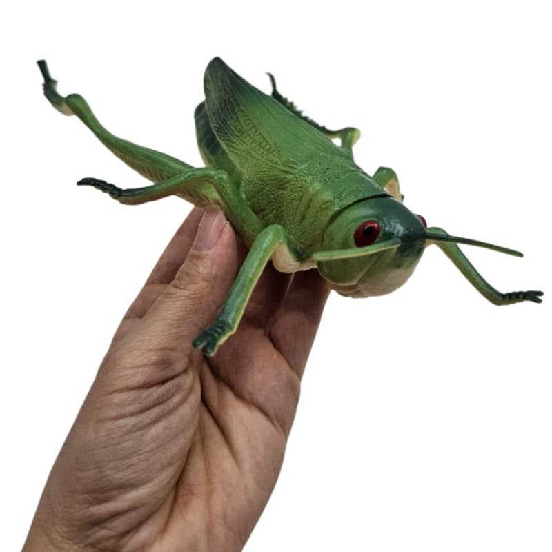 فیگور ناب سل مدل ملخ آفریقایی کد AFRICAN LOCUST NAAB006 طول 23 سانتی‌متر — تصویر ۴