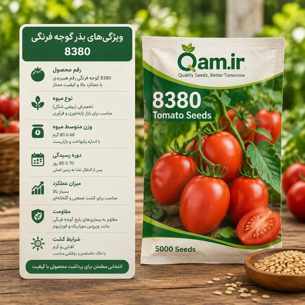بذر گوجه فرنگی 8380 — تصویر ۳