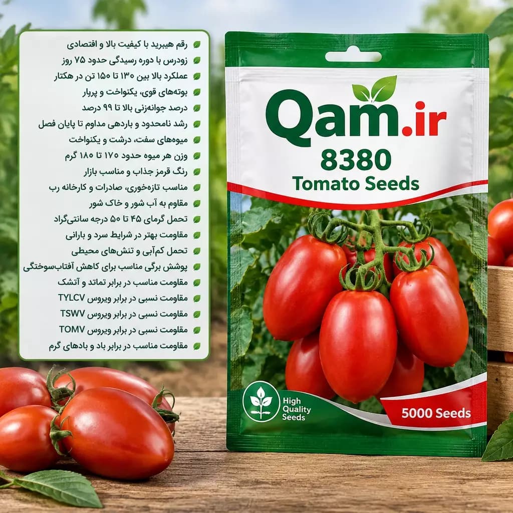بذر گوجه فرنگی 8380 — تصویر ۲