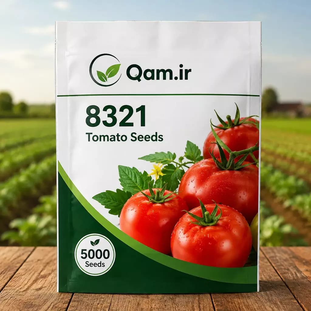 بذر گوجه فرنگی 8321