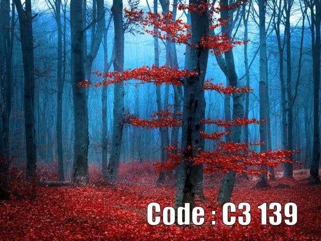 پوستر دیواری جنگل سرخ و آبی