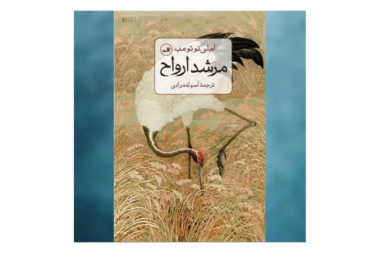 کتاب مرشد ارواح
