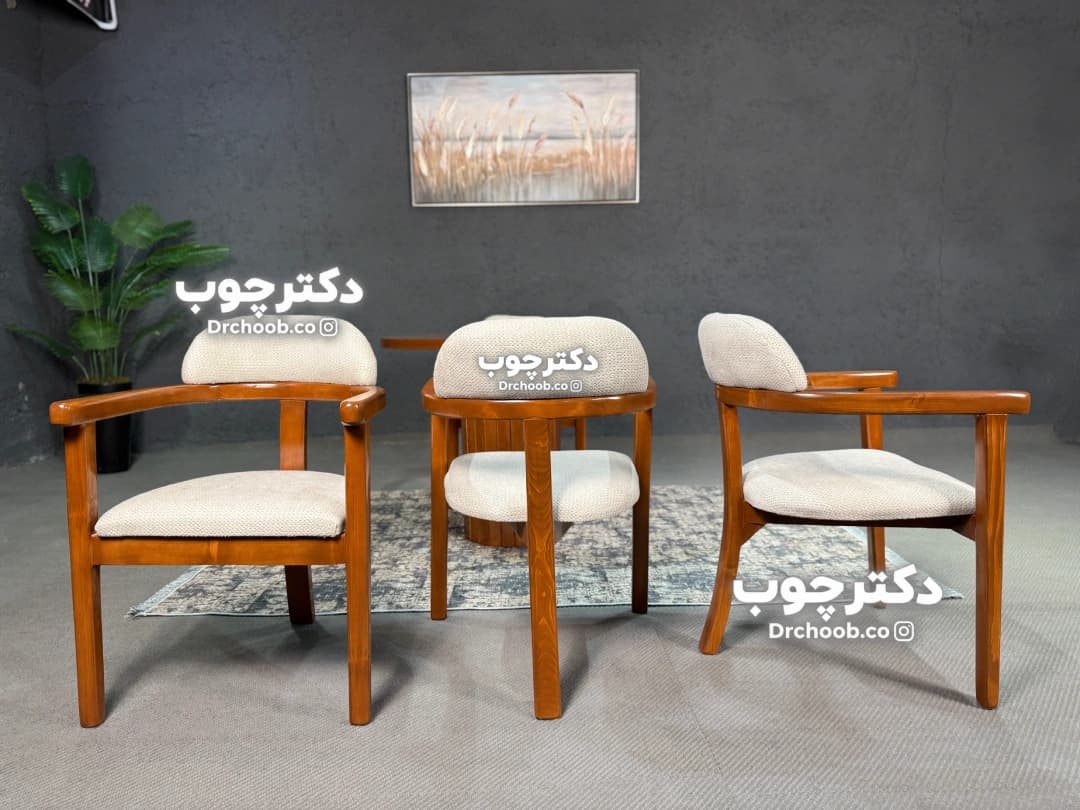 غذاخوری مدل الیزا — تصویر ۴