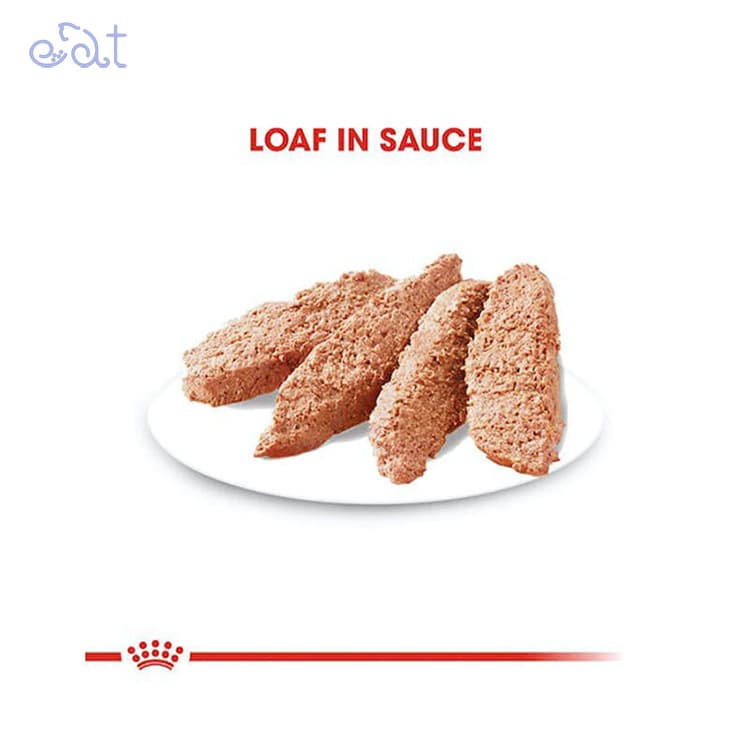 پوچ سگ درما کامفورت رویال کنین مدل Royal Canin DermaComfort وزن 85 گرم — تصویر ۴