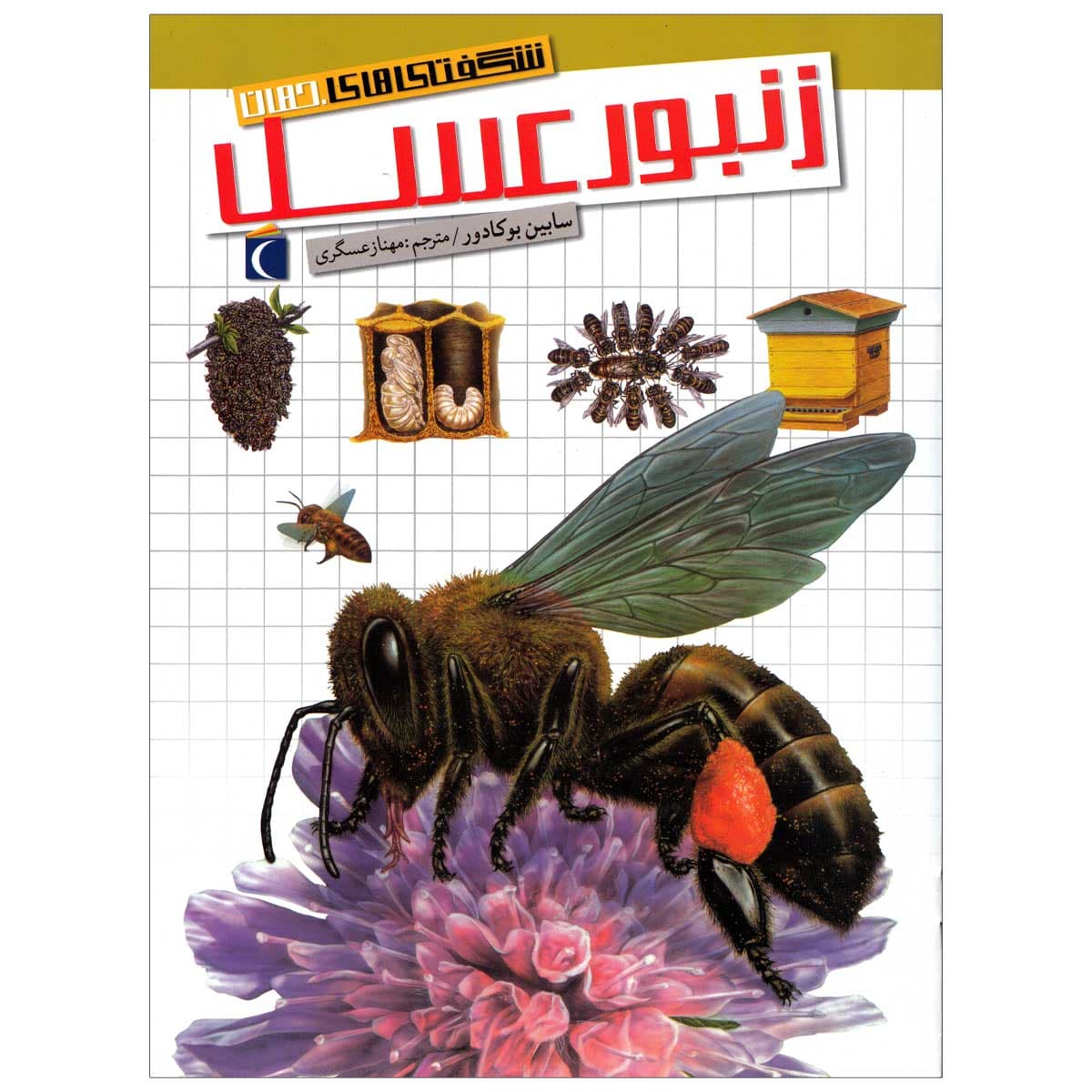 کتاب شگفتی های جهان زنبورعسل | زنبورافزار