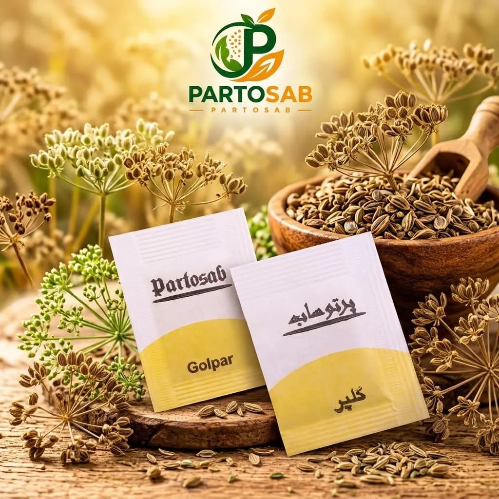 گلپر ساشه تک نفره پرتوساب