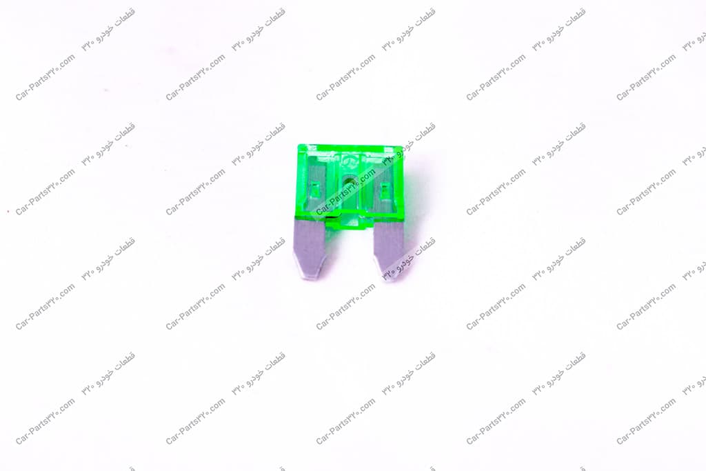 فیوز دوشاخه کوچک 30 امپر دوو ریسر