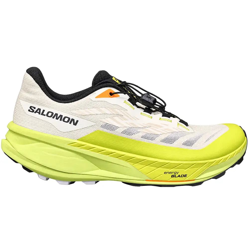 کفش تریل رانینگ سالامون salomon pulsar trail pro مدل 474337S