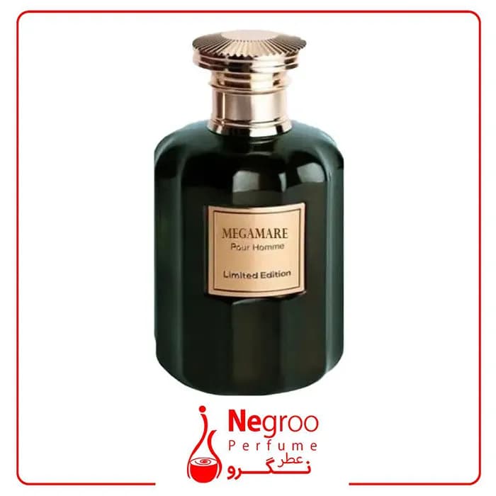 عطر ادکلن روبرتو ویزاری مگاماره 100 میل ROBERTO VIZZARI Megamare/اورجینال — تصویر ۲