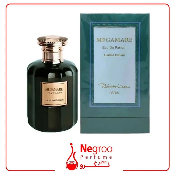 عطر ادکلن روبرتو ویزاری مگاماره 100 میل ROBERTO VIZZARI Megamare/اورجینال