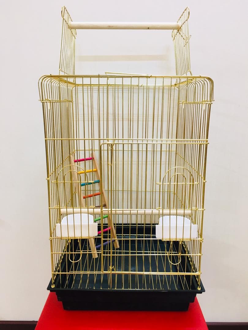 قفس 1033 پرندگان