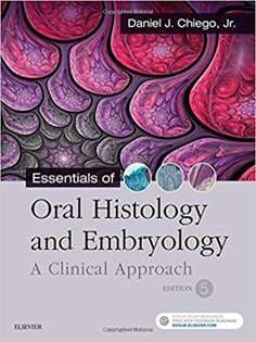 دانلود کتاب Essentials Of Oral Histology And Embryology A Clinical Approach — تصویر ۲