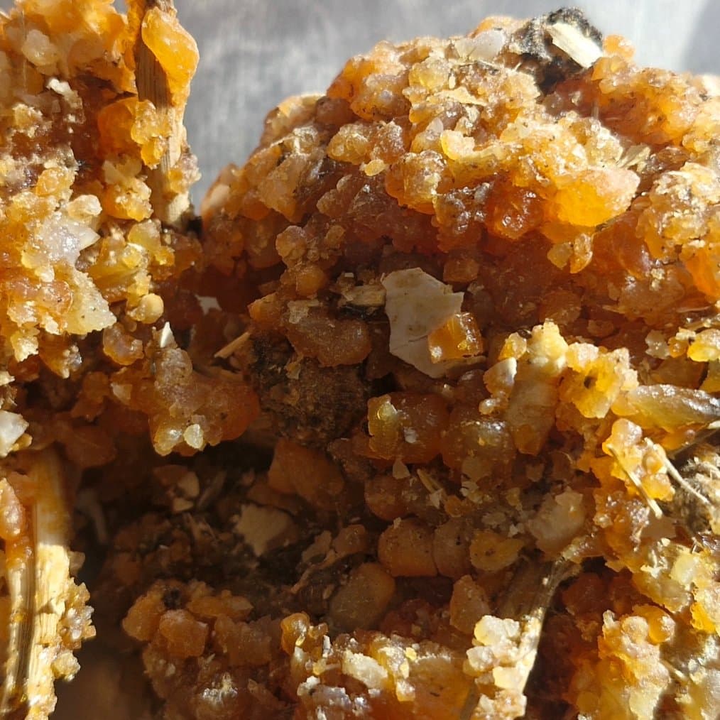 صاغافایون ۷۵ گرم