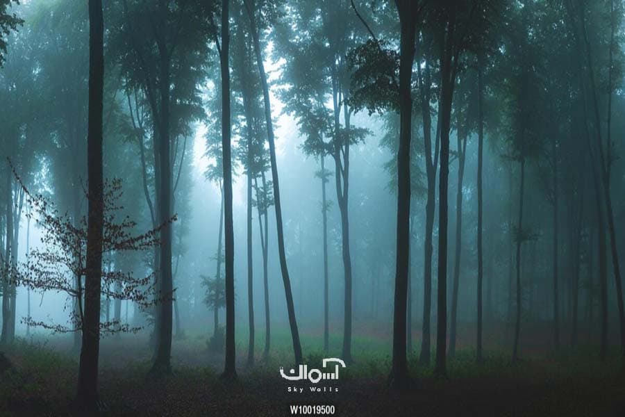 پوستر دیواری هنری جنگل کد 10019500