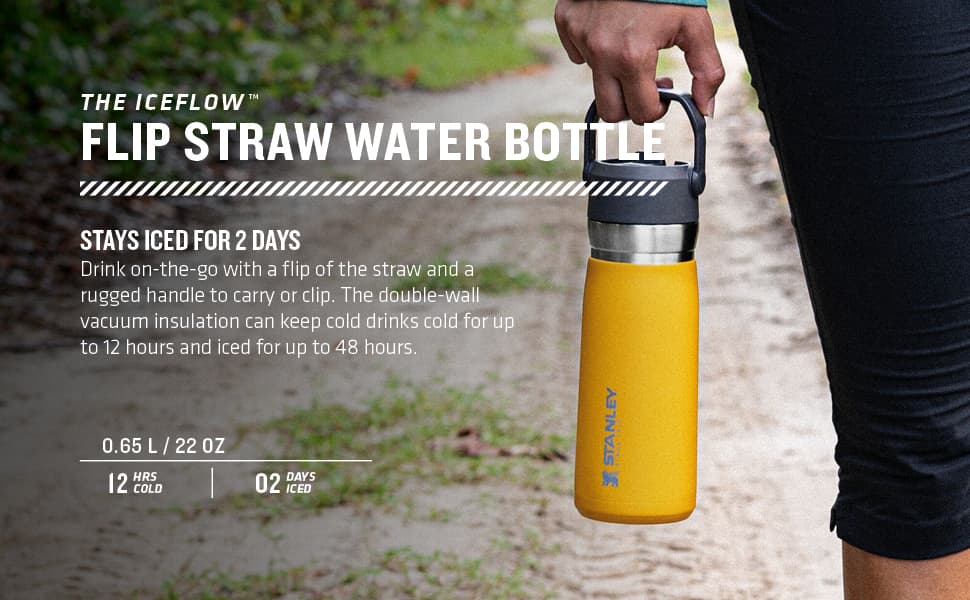 ماگ استنلی مدل Flip Straw ظرفیت 650 میلی لیتر اورجینال — تصویر ۷
