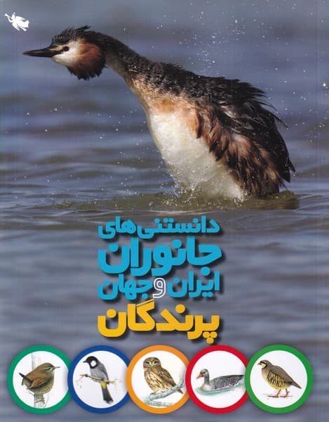 دانستني‌هاي جانوران ايران و جهان(پرندگان)طلايي #