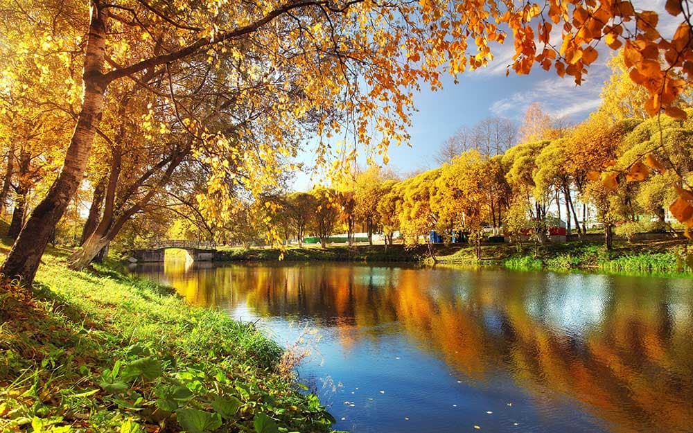 پوستر دیواری رودخانه و پارک پاییزی n-6374