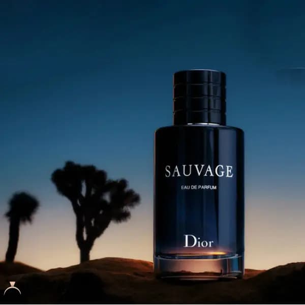 عطر کریستین دیور دیور ساواج-ساوج-ساواژ مردانه ادوپرفیوم — تصویر ۳
