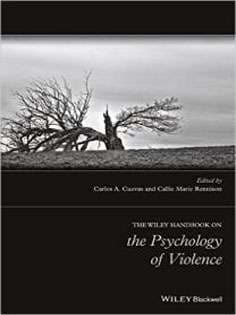 دانلود کتاب The Wiley Handbook on the Psychology of Violence