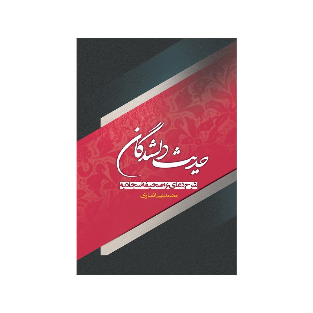 کتاب حدیث دلشدگان اثر محمد علی انصاری — تصویر ۲