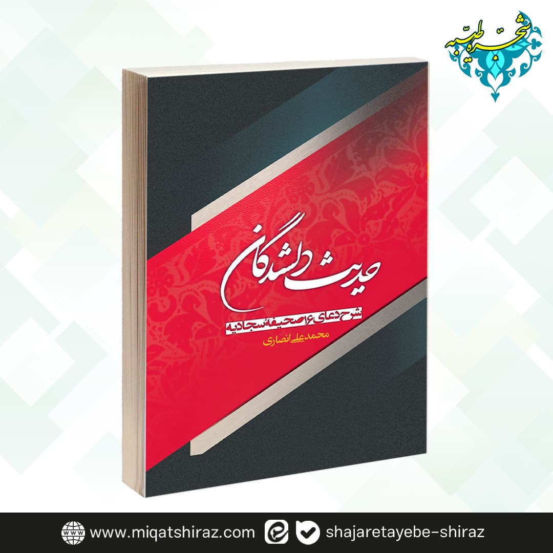 کتاب حدیث دلشدگان اثر محمد علی انصاری