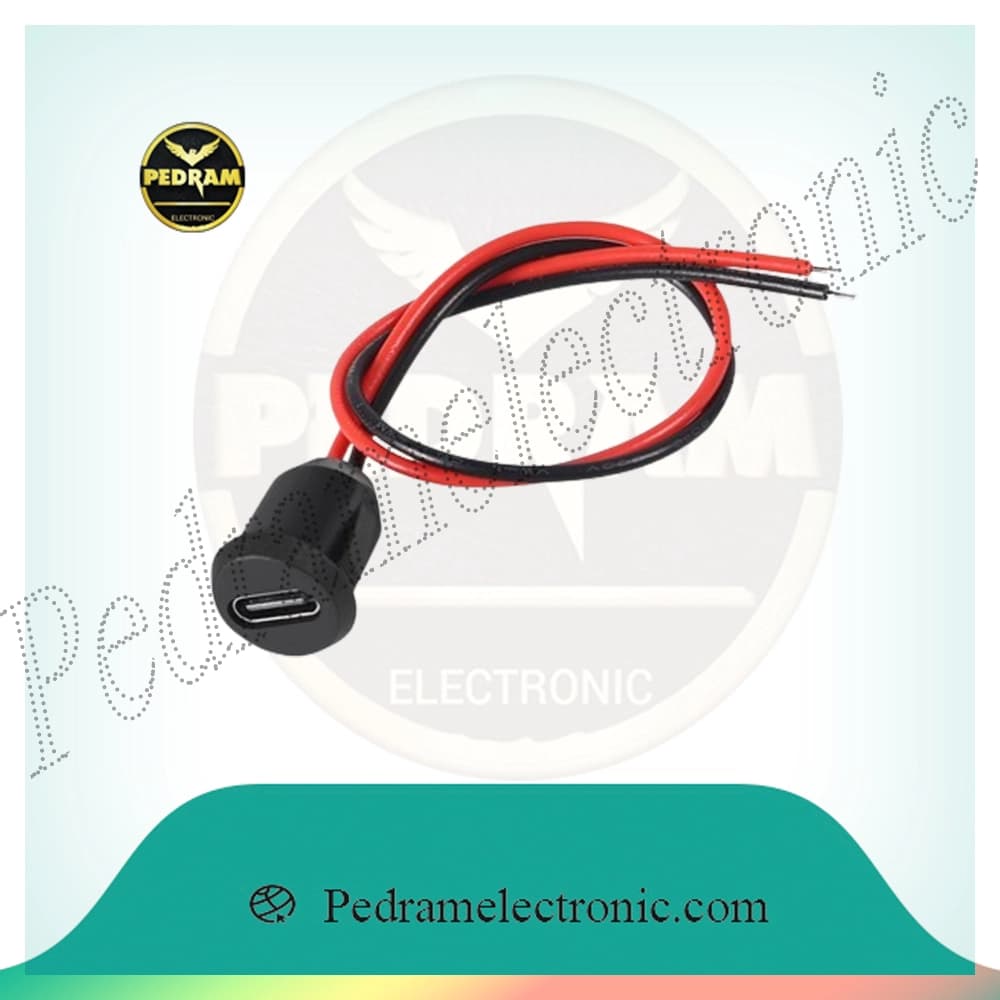 سوکت مادگی Type-C سیم‌دار پنلی | جک USB Type-C دو سیم