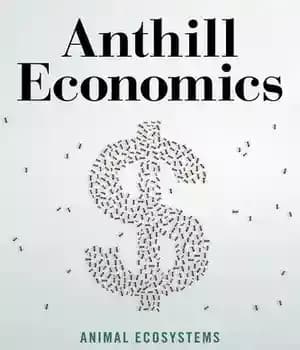 دانلود کتاب Anthill Economics – اقتصاد مورچه ها