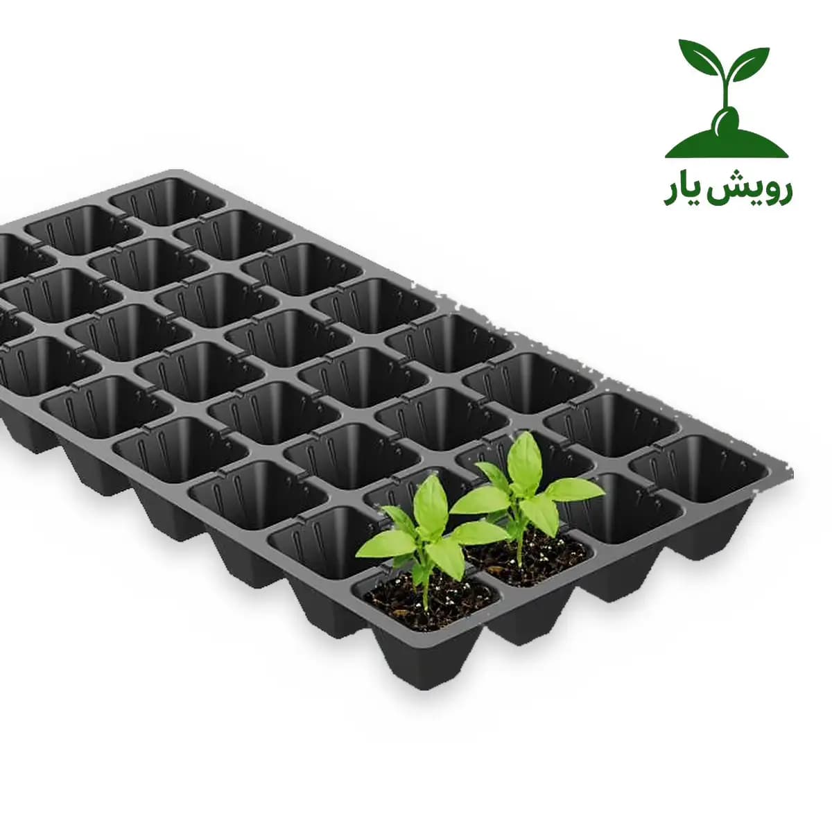سینی نشاء پلاستیکی 32 حفره | گروه کشاورزی دکتر آل بوعلی