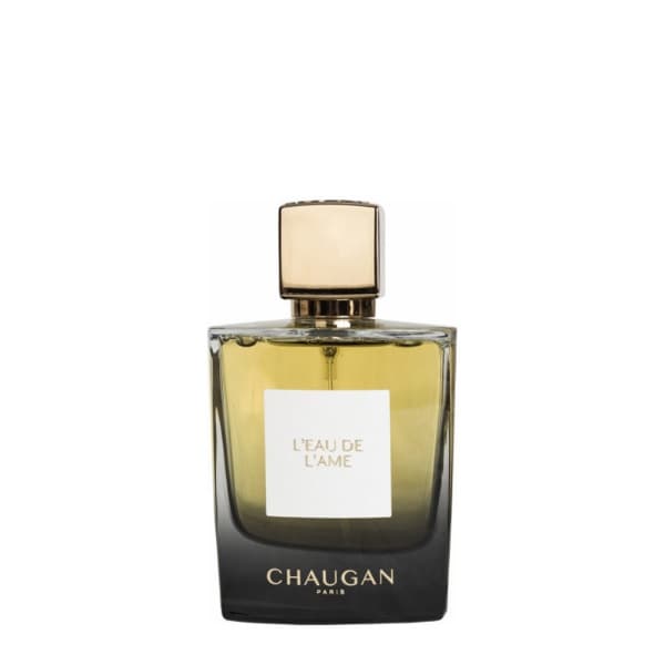 عطر زنانه چوگان لو دو لام L’Eau de L’Ame حجم 100 میل