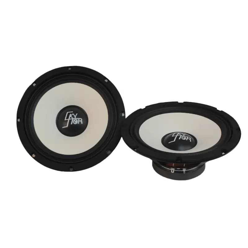 میدرنج 8 اینچ اسکایلر D200C — تصویر ۲