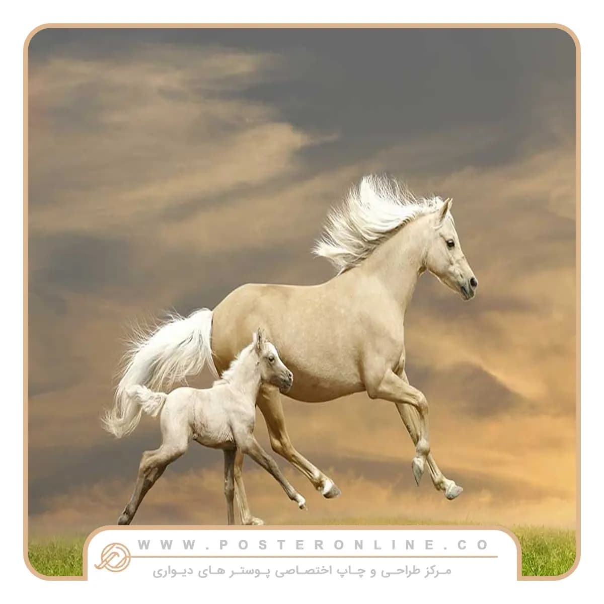 پوستر دیواری حیوانات طرح اسب با یال سفید کد h-11172 — تصویر ۲