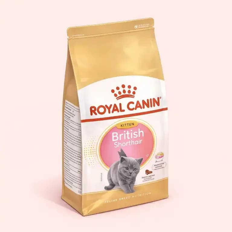 غذای بچه گربه بریتیش شورت هیر رویال کنین (British Shorthair) | رویال کنین کیتن بریتیش