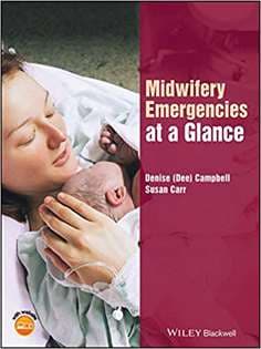 دانلود کتاب Midwifery Emergencies at a Glance (At a Glance (Nursing and Healthcare))