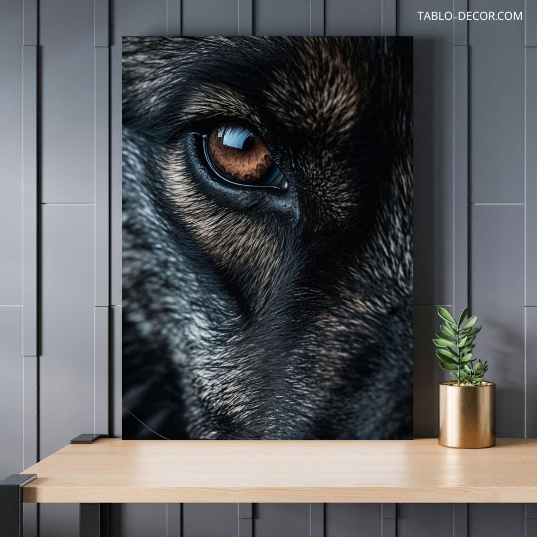 تابلو چشم گرگ wolf eye