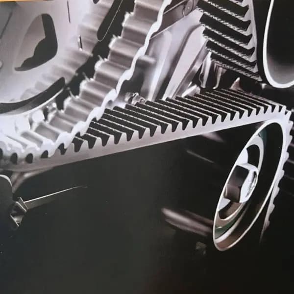 تسمه تایم کلوت — تصویر ۳