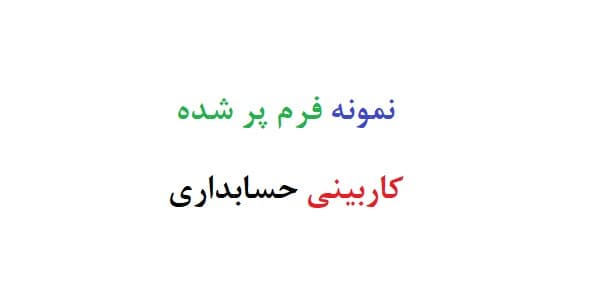 نمونه فرم پر شده کاربینی حسابداری