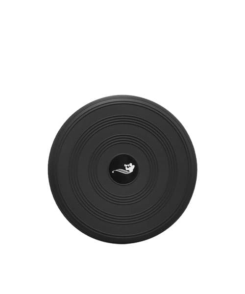 بالشتک تعادل POWERGYM — تصویر ۸