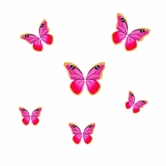 پروانه تزیینی کاغذی کد25