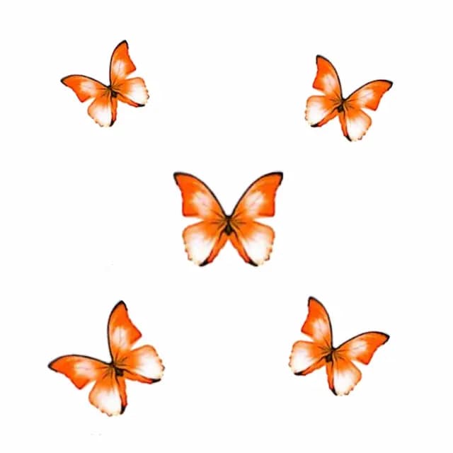 پروانه تزیینی کاغذی کد30