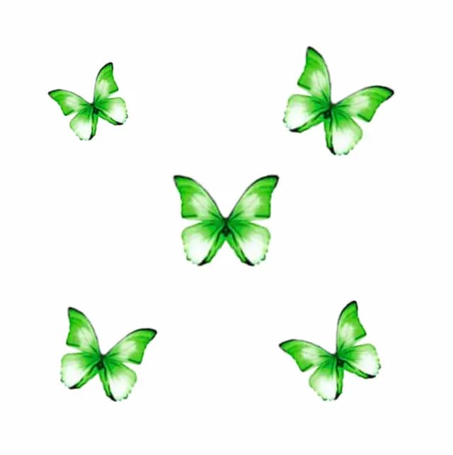 پروانه تزیینی کاغذی کد28