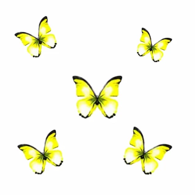 پروانه تزیینی کاغذی کد27