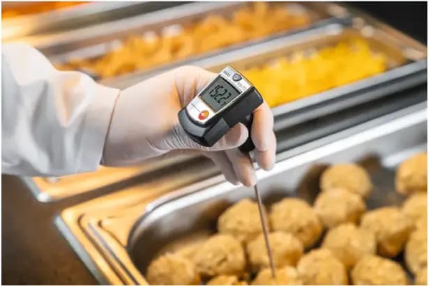 ترمومتر نفوذی تستو Testo 905-T1 — تصویر ۲