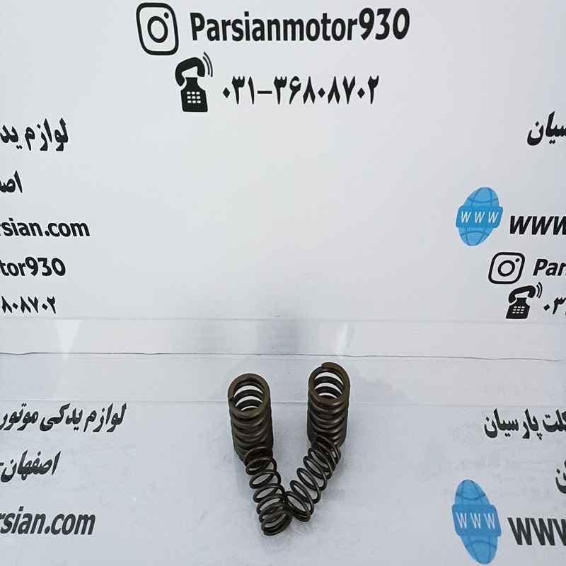 فنر سوپاپ تریل روان WR — تصویر ۲