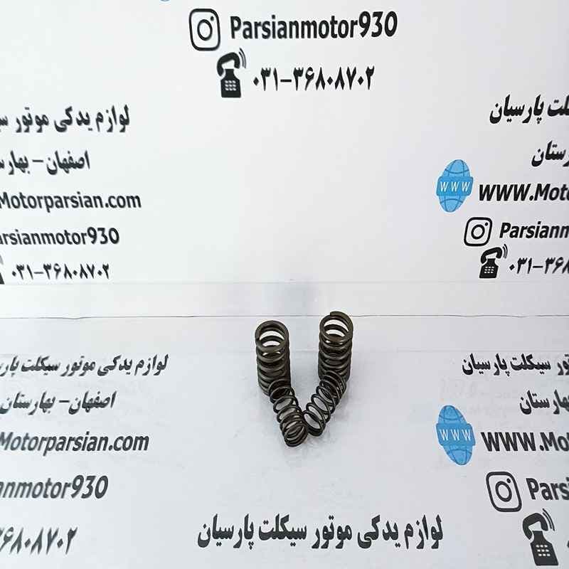 فنر سوپاپ تریل روان WR