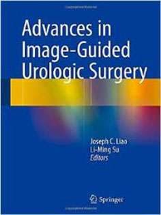 دانلود کتاب Advances in Image-Guided Urologic Surgery