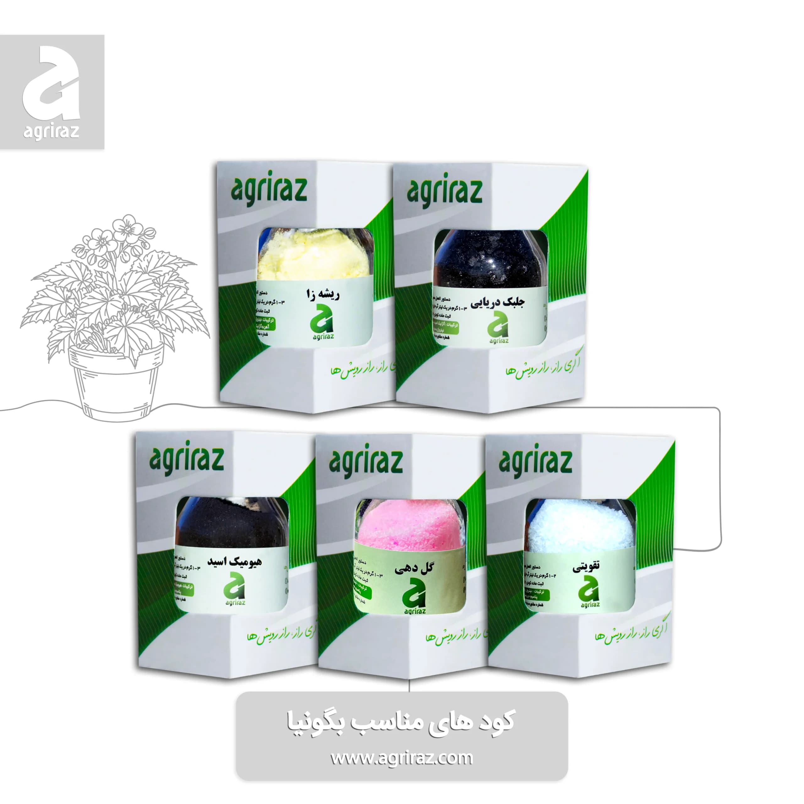 کود مناسب بگونیا